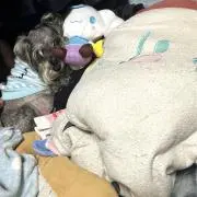 齋藤利行