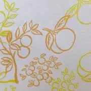 オレンジの画像