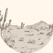 オムレツ