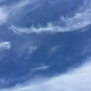 もりこの画像