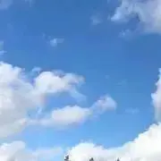 アロエプロフ確認お願いします