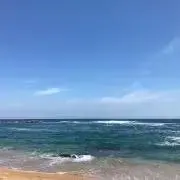 あやきちの画像