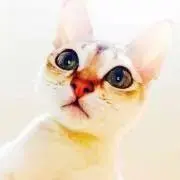マイコムラ