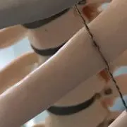 DoDoの画像