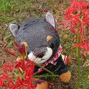 ようこ