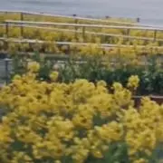 tの画像