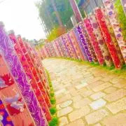 M[プロフ必読❗️即購入禁止❗️]の画像