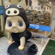 なーの画像