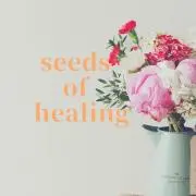 seeds of healingの画像