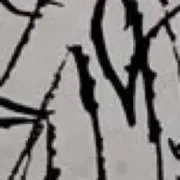 maldi