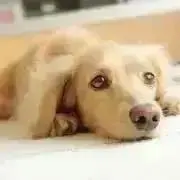 まりん★最終出品ありがとうございました★の画像