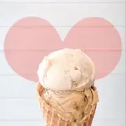 i c e  《プロフ必読》の画像