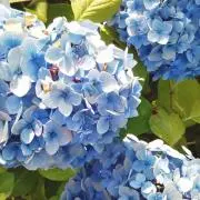 に〜に＊プロフあり/断捨離中