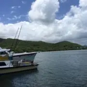 かさの画像