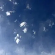 ゆまの画像