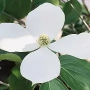 plot80の画像