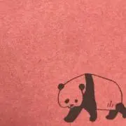 みーの画像