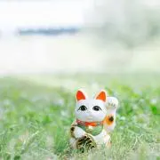 メイの画像