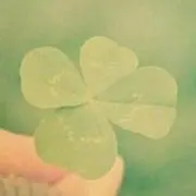 clover *＊