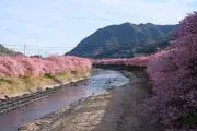 ともの画像