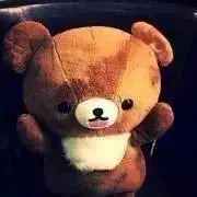 kogumaguma プロフ必読の画像