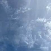 おつゆの画像