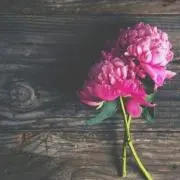 ra___N.の画像