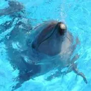 えむえむの画像