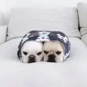 のん