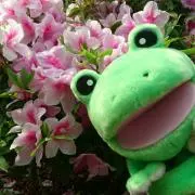 ❁✿✾うめ (੭ ᐕ))✾✿❁︎