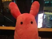 もけの画像