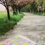 あまぐの画像