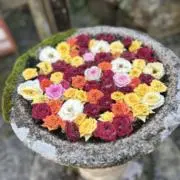 にーの画像