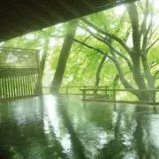 トラ