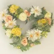 うさたまの画像