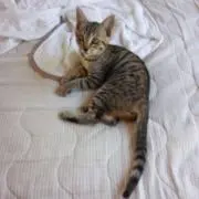 ！！！の画像