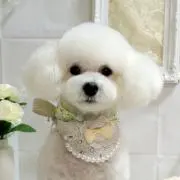 のんのん