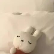 るろまめりの画像