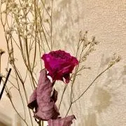 chon【プロフ必読お願いします】の画像