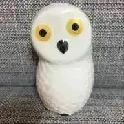 kaooの画像