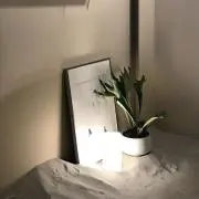 na___