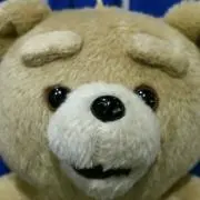 ぬちゃこの画像