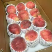 もちの画像