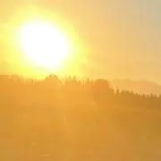 オレ