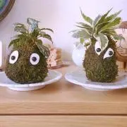 はるくる✩の画像