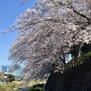 小倉トーストの画像