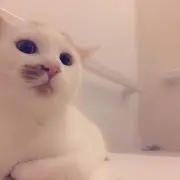 つっちー