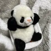 きゃと