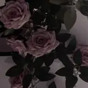 お値下げ可お声かけお願いしますの画像