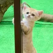 みき